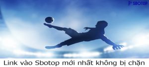 Sbotop - Nhà cái trực tuyến top 1 cá cược thể thao