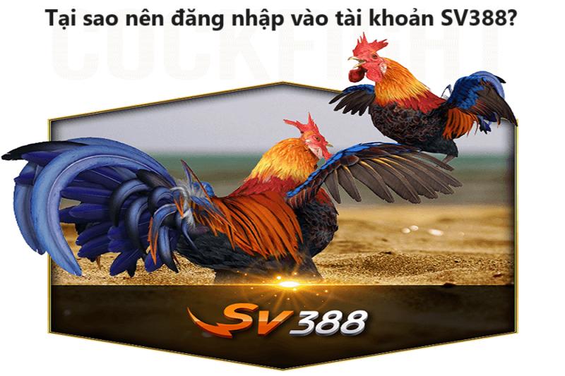 Những lý do bạn nên đăng nhập vào tài khoản SV388